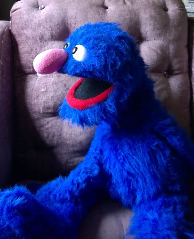 Muppet toy