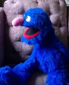 Grover Monster (Sesame street) You send us image we make a custom soft toy for you!