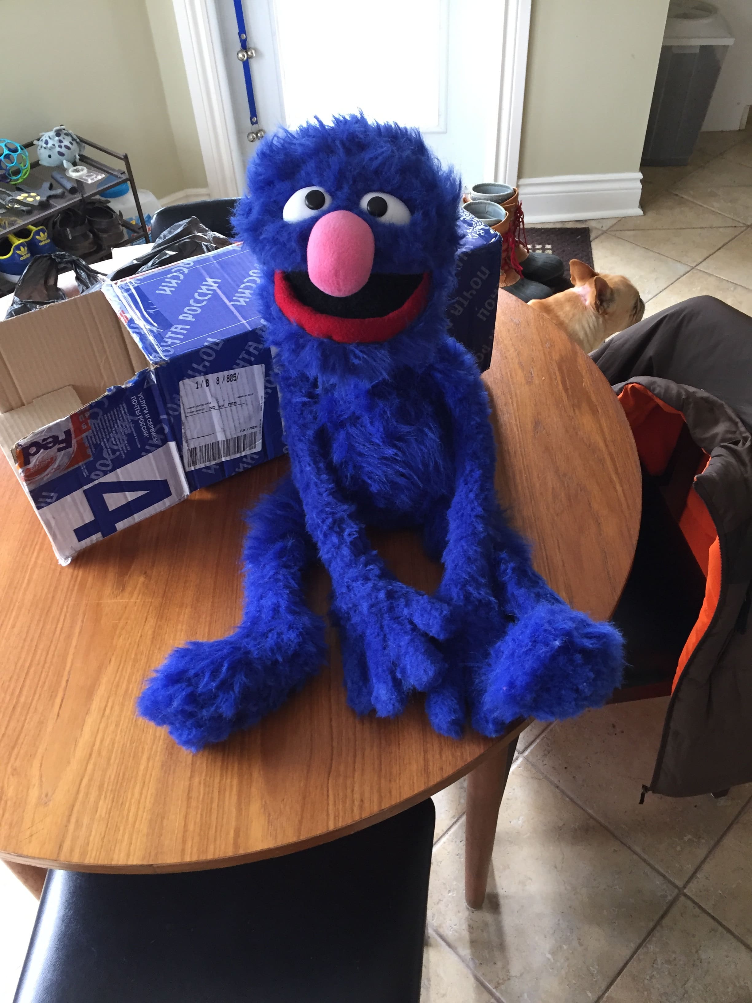 sesame street grover stuffed animal