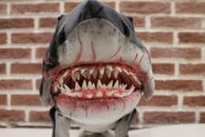 Shark Jaws 2 Plush You send us image we make a custom soft toy for you!