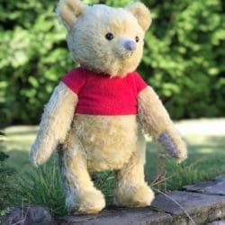 Winnie the Pooh ( Christopher Robin) You send us image we make a custom soft toy for you!