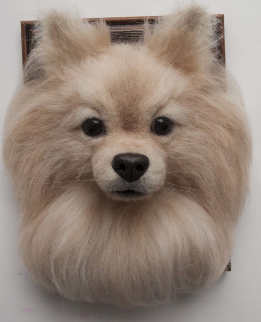 Turn Your Lovable Dog's Photo Into The Needle Felted Dog's Memorial 3D Portrait You send us image we make a custom soft toy for you!