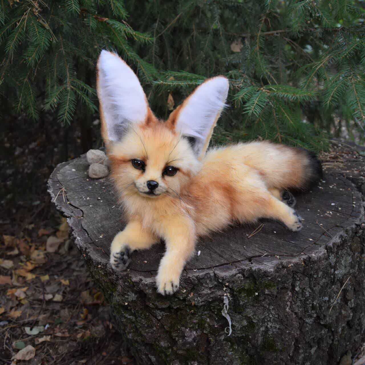 fenek-realistic-animal-toy-4×3