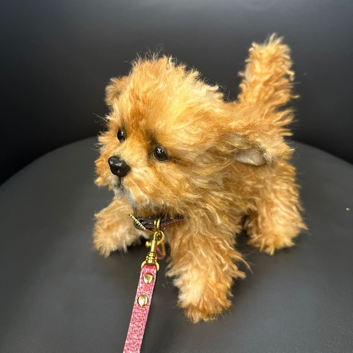 pet2-realistic-animal-toy-4×3