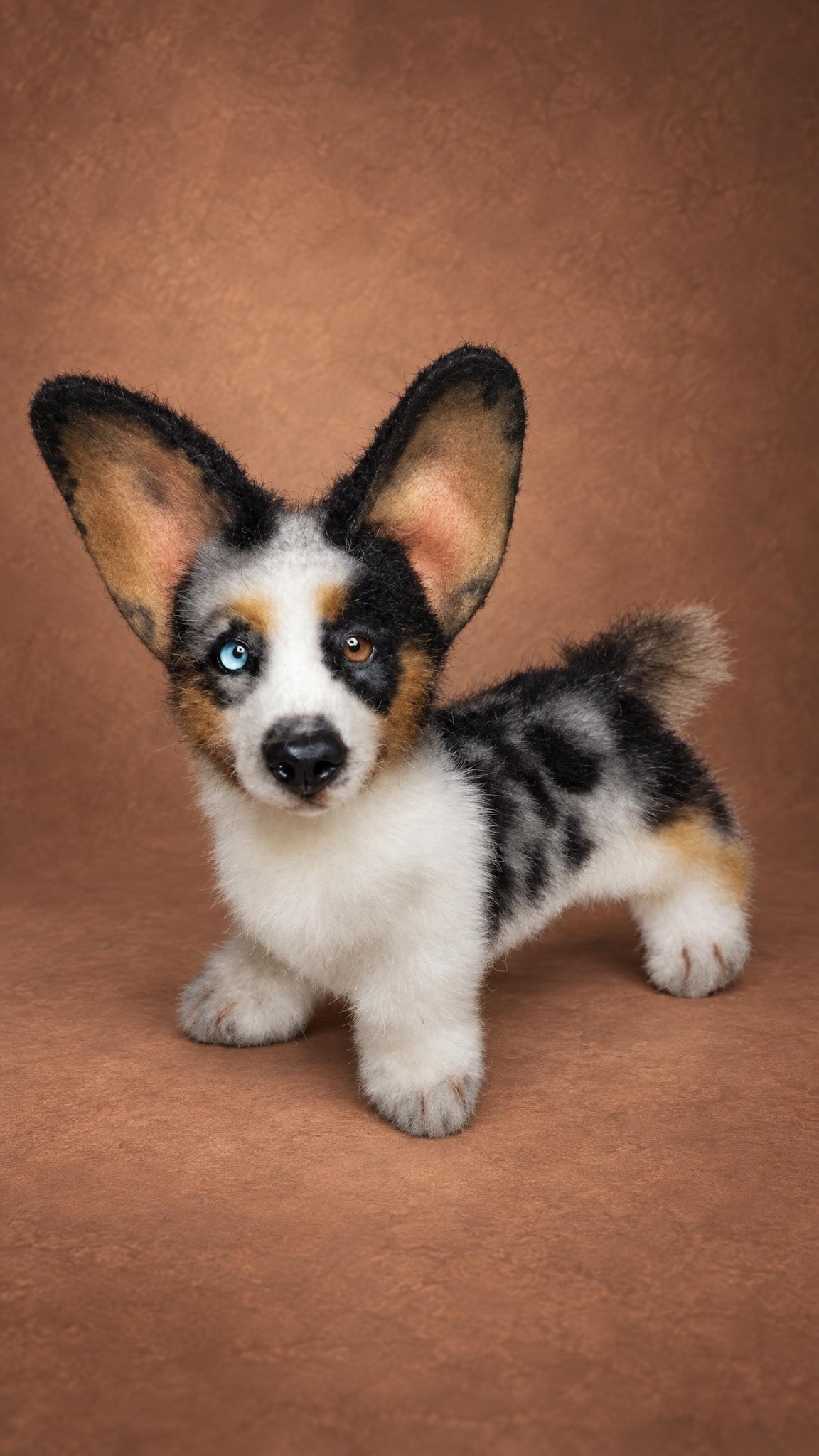 Custom corgi dog plush in faux fur, merle spots and tan cheeks copied from the owner's photos