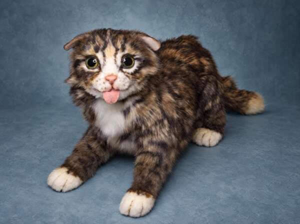 Custom cat plush from photo: fold-eared tabby with green glass eyes and a pink tongue out, white paws, handmade