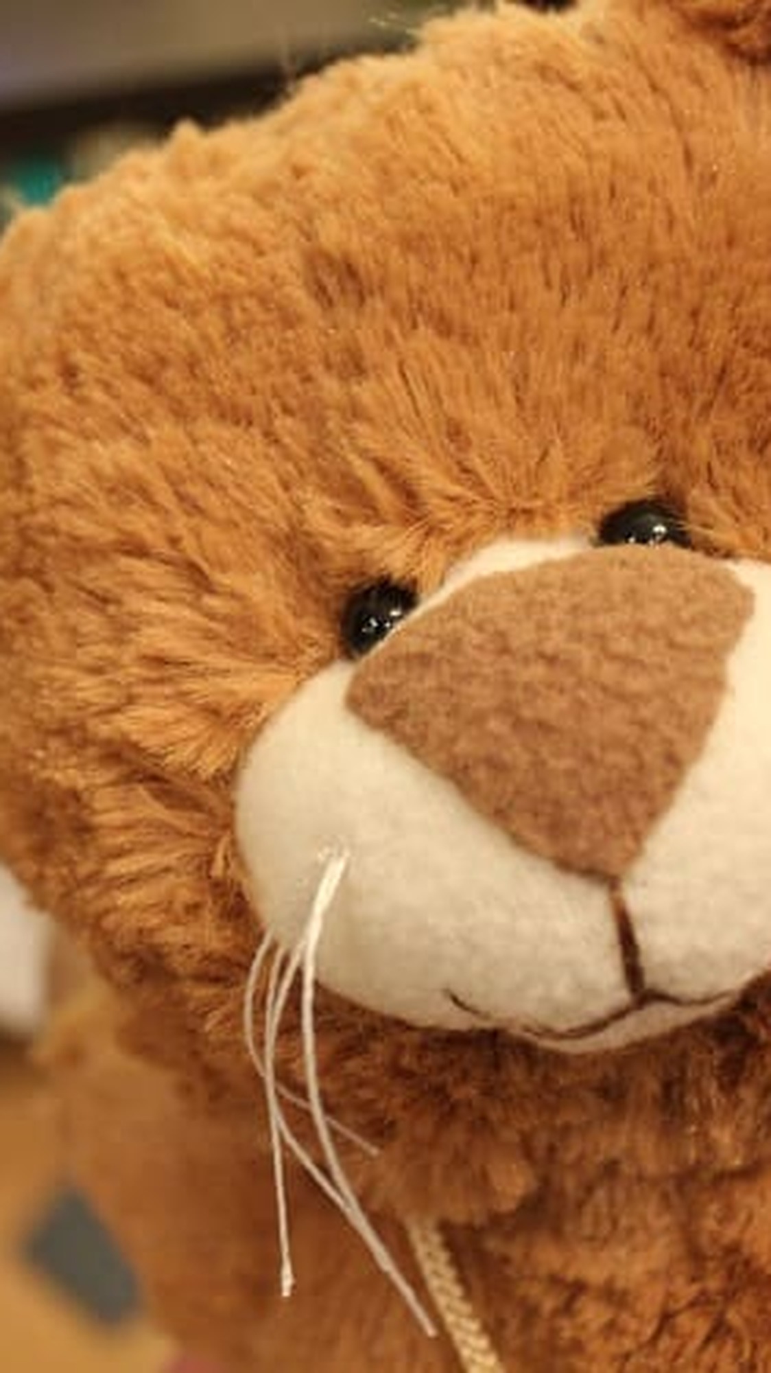 Custom cat stuffed animal replica made to order: brown nose, cream muzzle, black bead eyes and cream inner ears