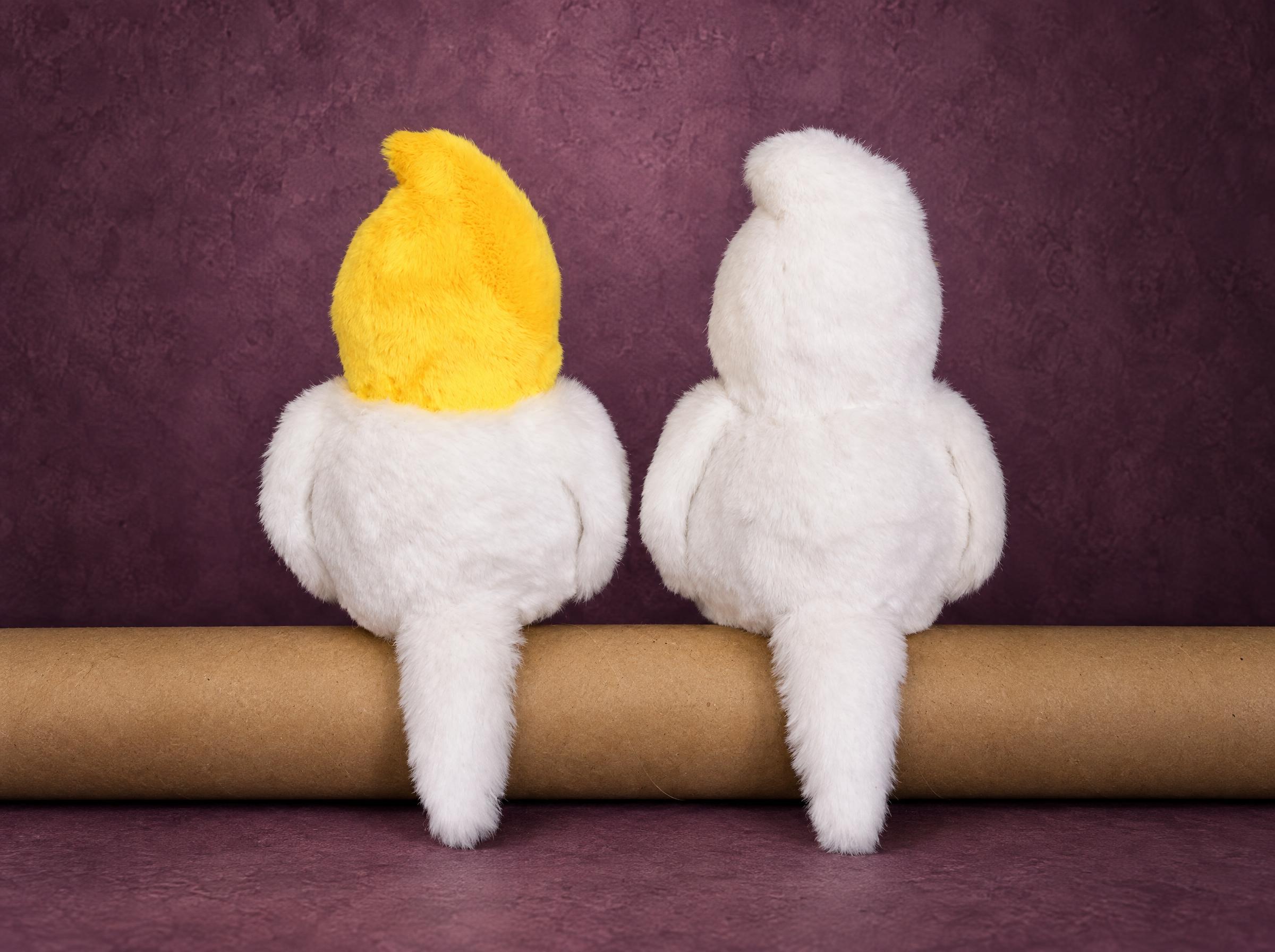 Custom Dove Plush Pair With Fluffy White Tails Custom dove plush pair sewn to order from a drawing, fluffy white tails hanging over the perch, yellow crest