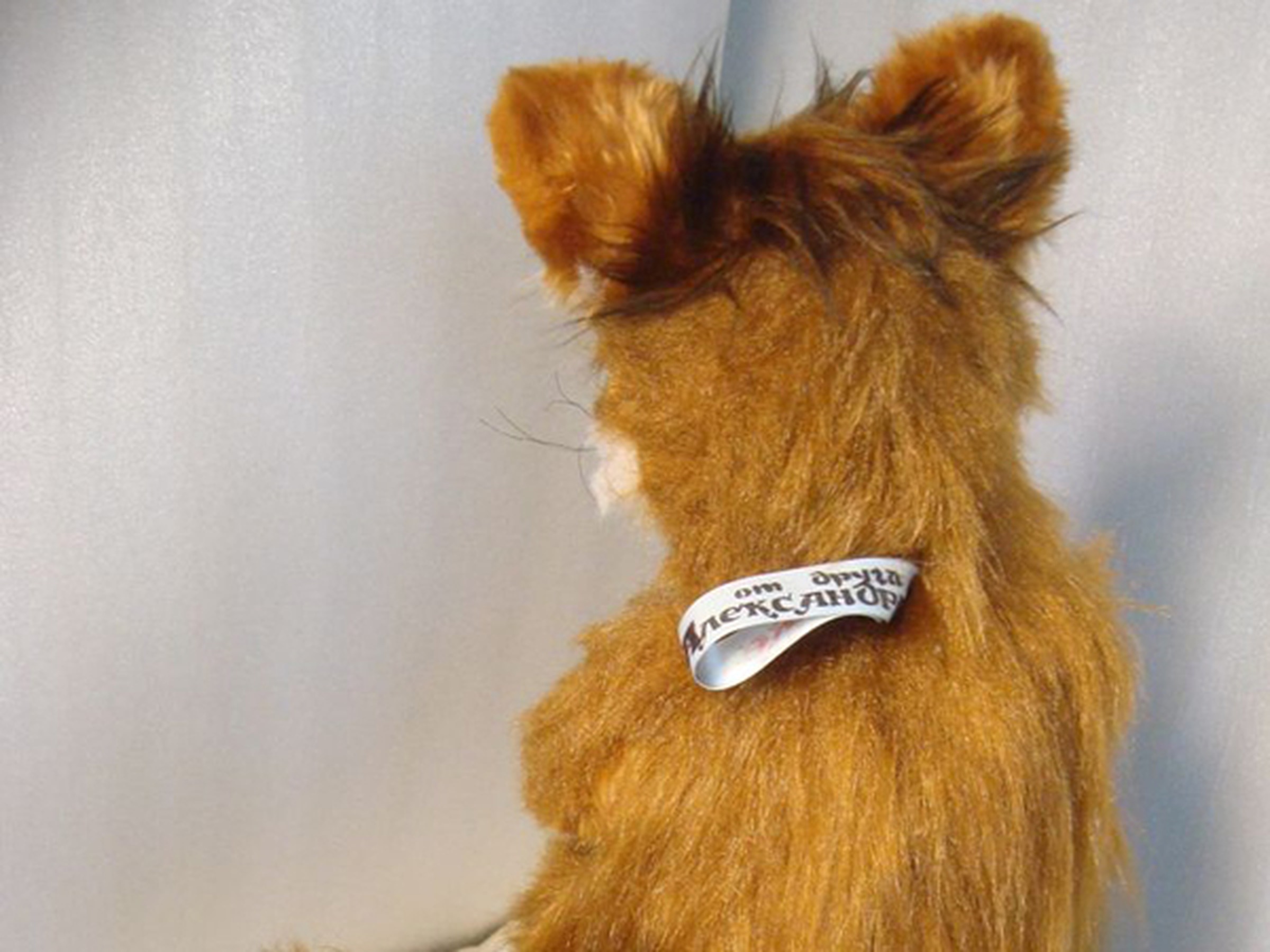 Custom Stoned Fox meme plush with a gift ribbon Custom Stoned Fox meme plush, a faux taxidermy fox with a bushy dark-tipped tail and a gift ribbon on its back