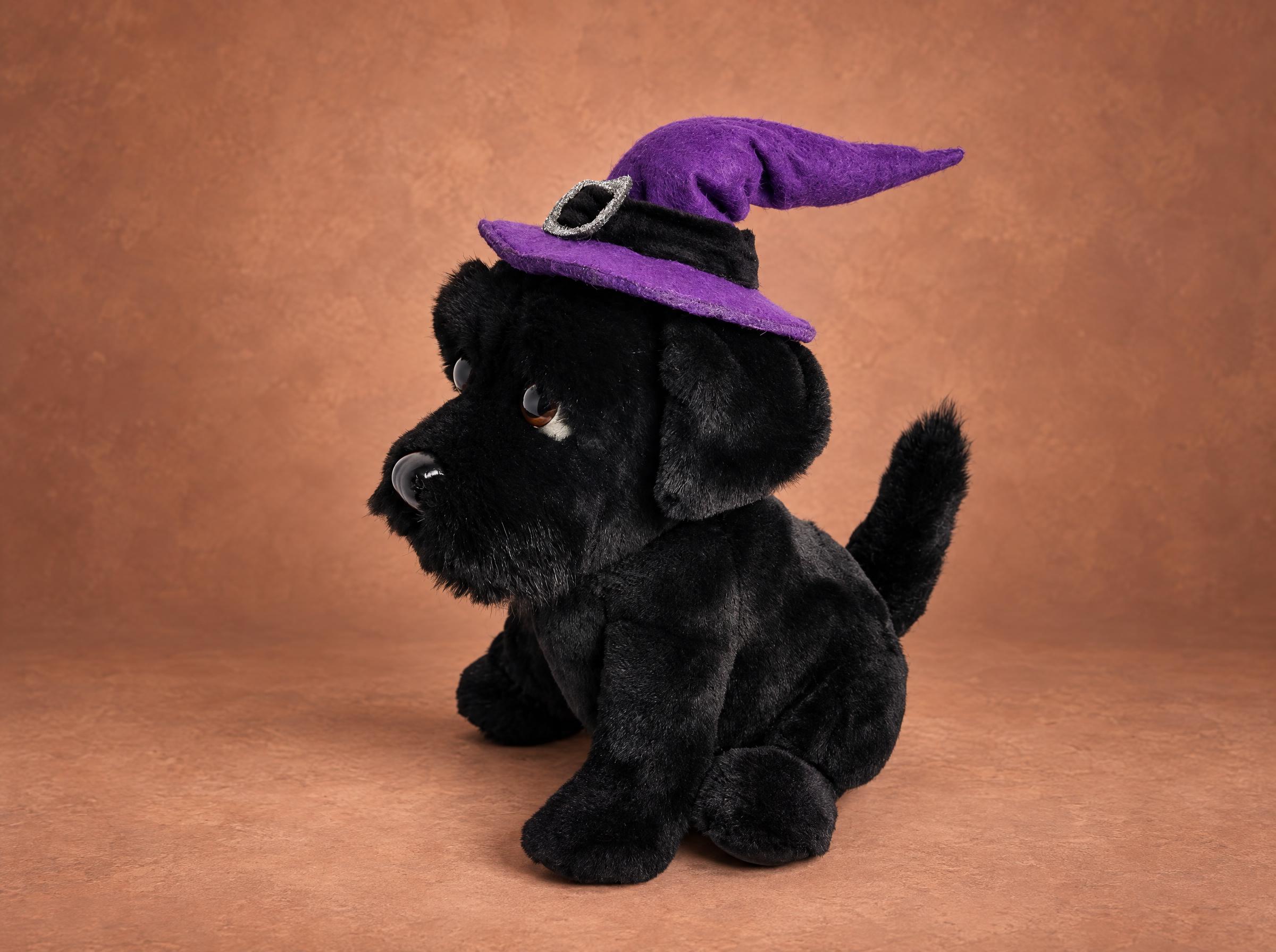 Dog club mascot plush in a purple witch hat Dog club mascot plush in a purple felt witch hat with a silver glitter buckle, black faux fur, handmade to order