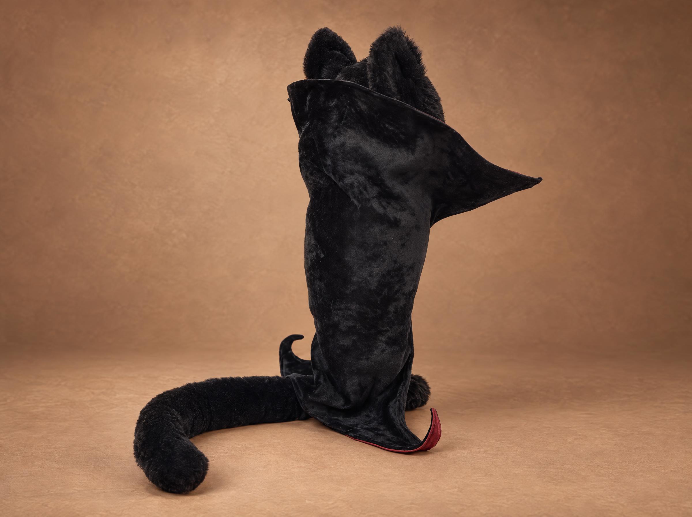 Dracula cat plush cape Dracula cat plush in a black vampire cape with pointed hem and a long black tail, handmade to order