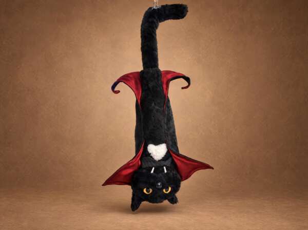 Dracula cat plush hanging upside down like a bat, cape spread, a spooky meme cat sewn to order