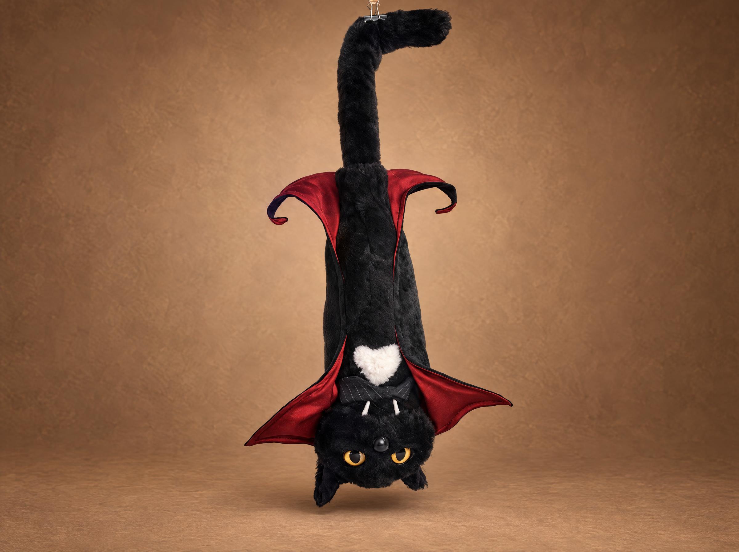 Dracula cat plush hanging like a bat Dracula cat plush hanging upside down like a bat, cape spread, a spooky meme cat sewn to order