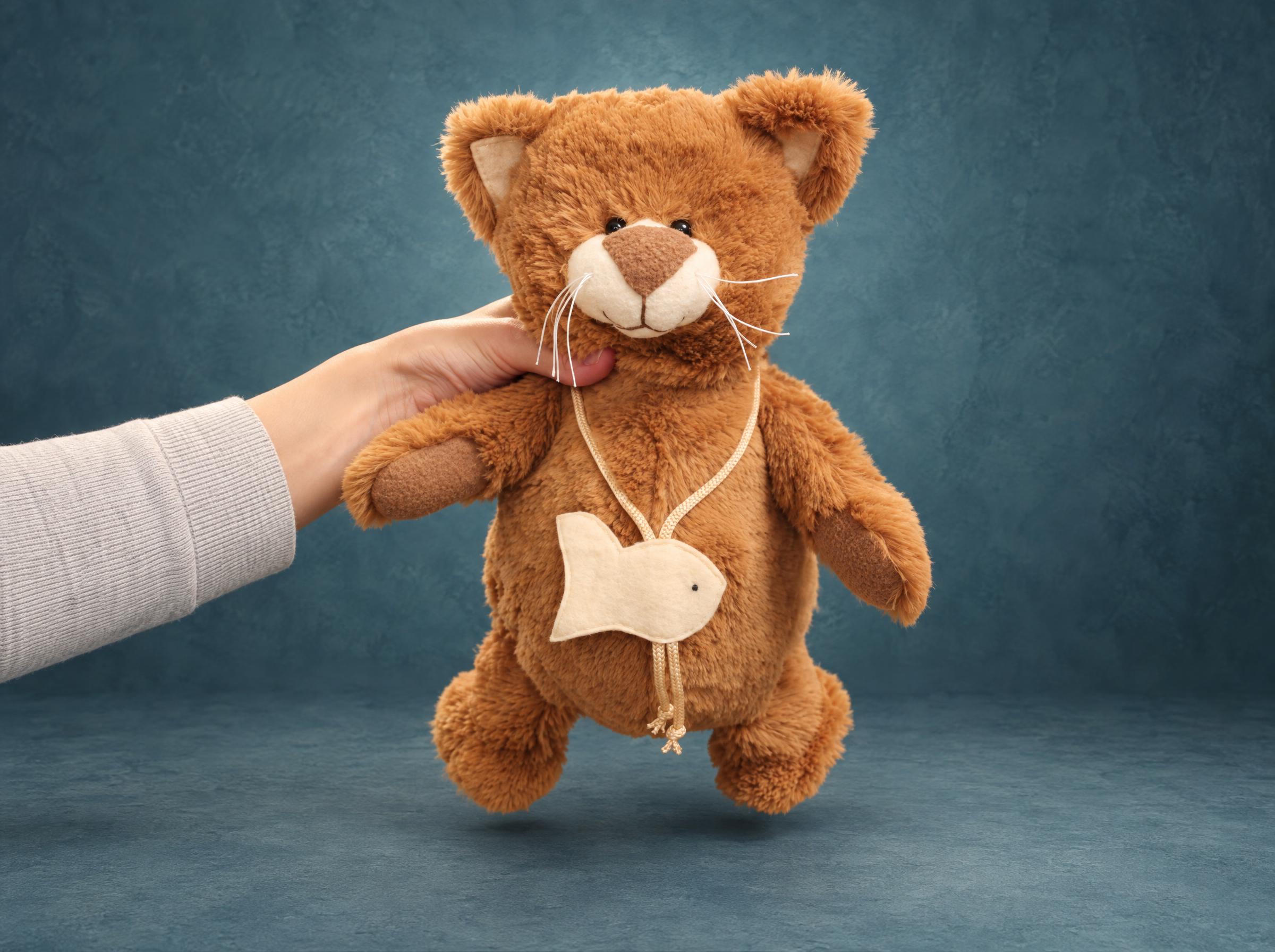 Lost cat plush copy, handmade to order: golden-brown fur, cream muzzle, long whiskers, a little fish on a cord