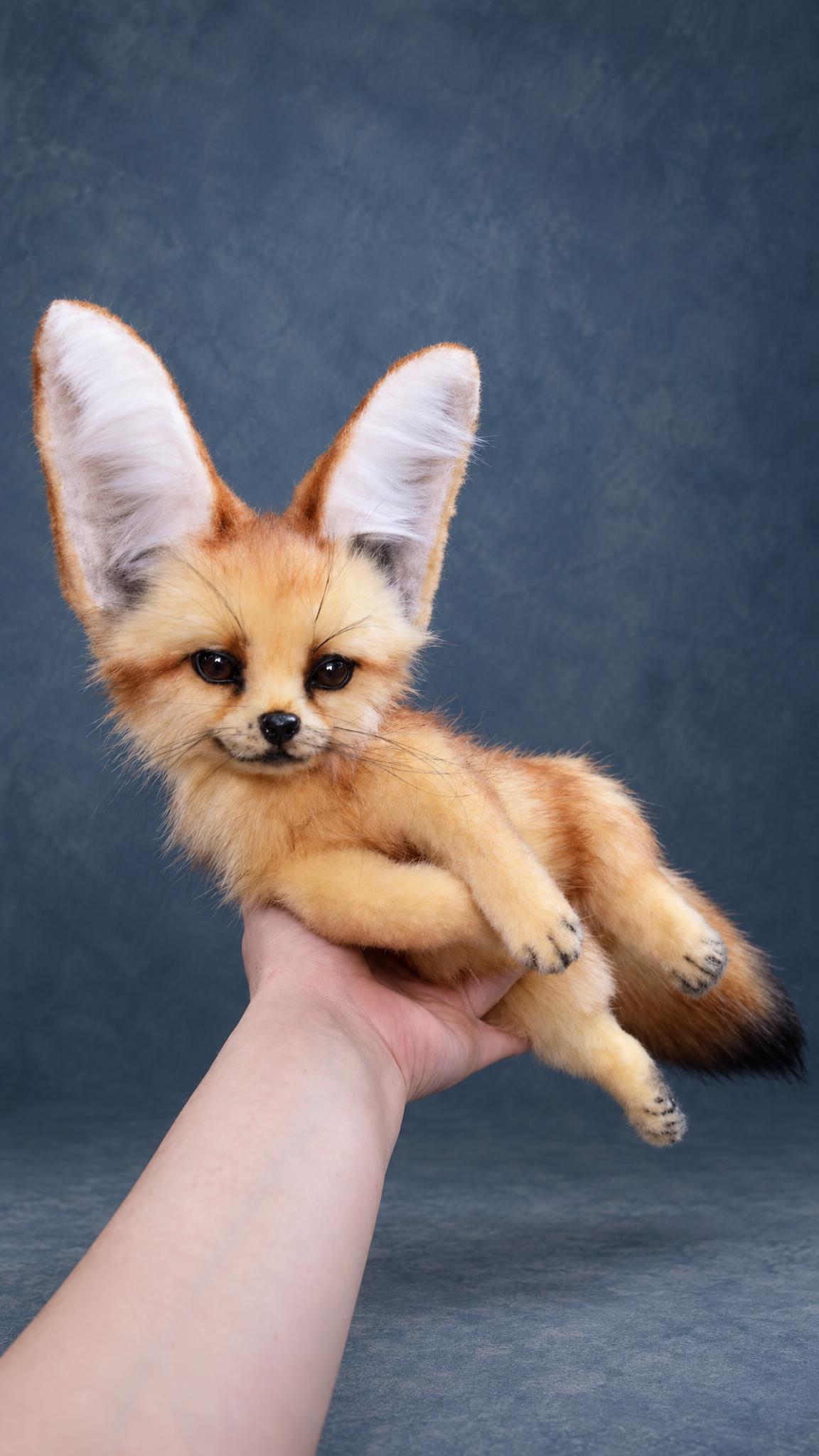 Custom realistic fennec fox plush lying in a hand, glass eyes, cream belly and ginger faux fur, made to order