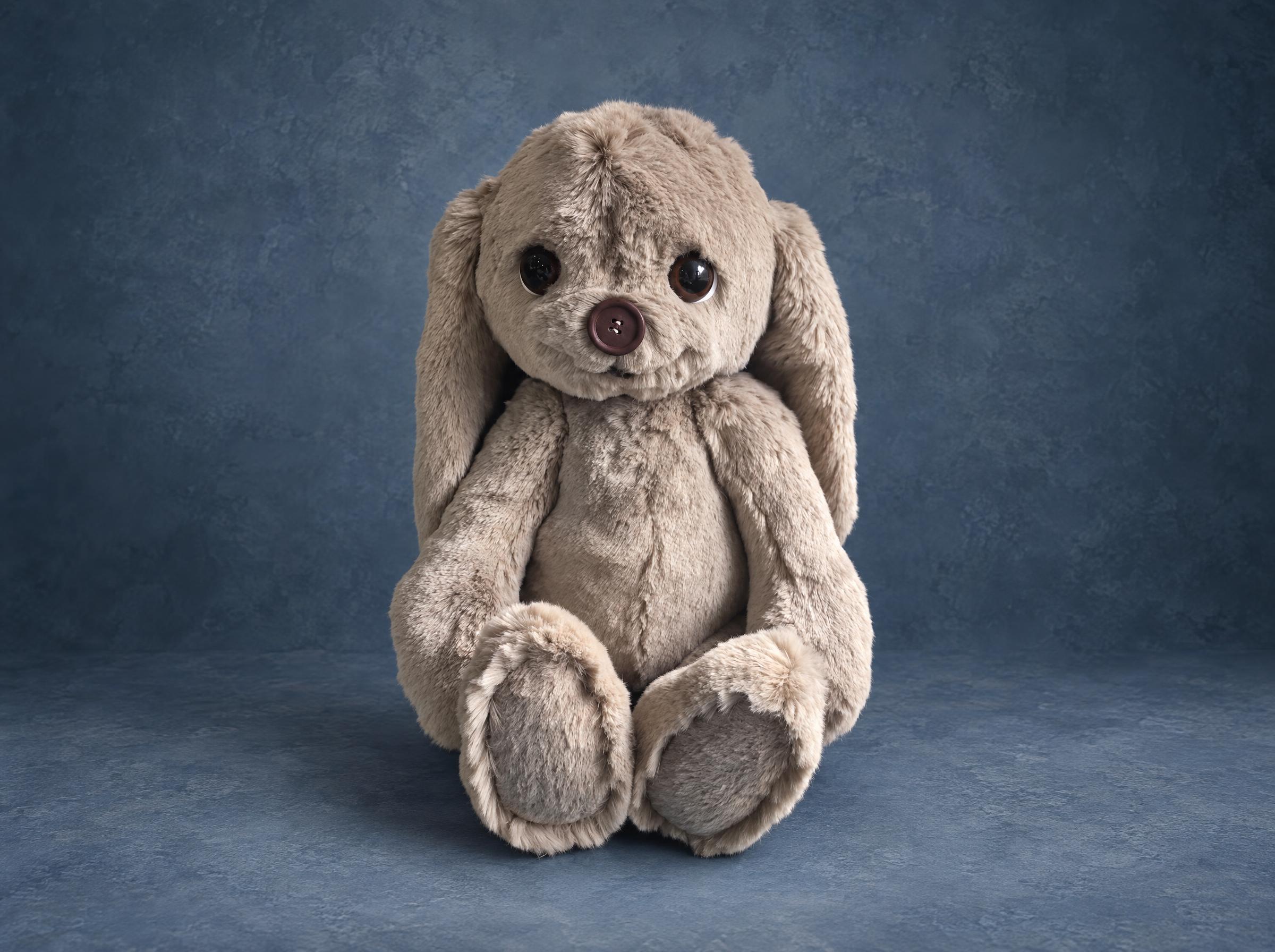 Grey teddy bunny plush prototype Grey teddy bunny plush sample in soft faux fur, long floppy ears, glass eyes, brown button nose, made to order