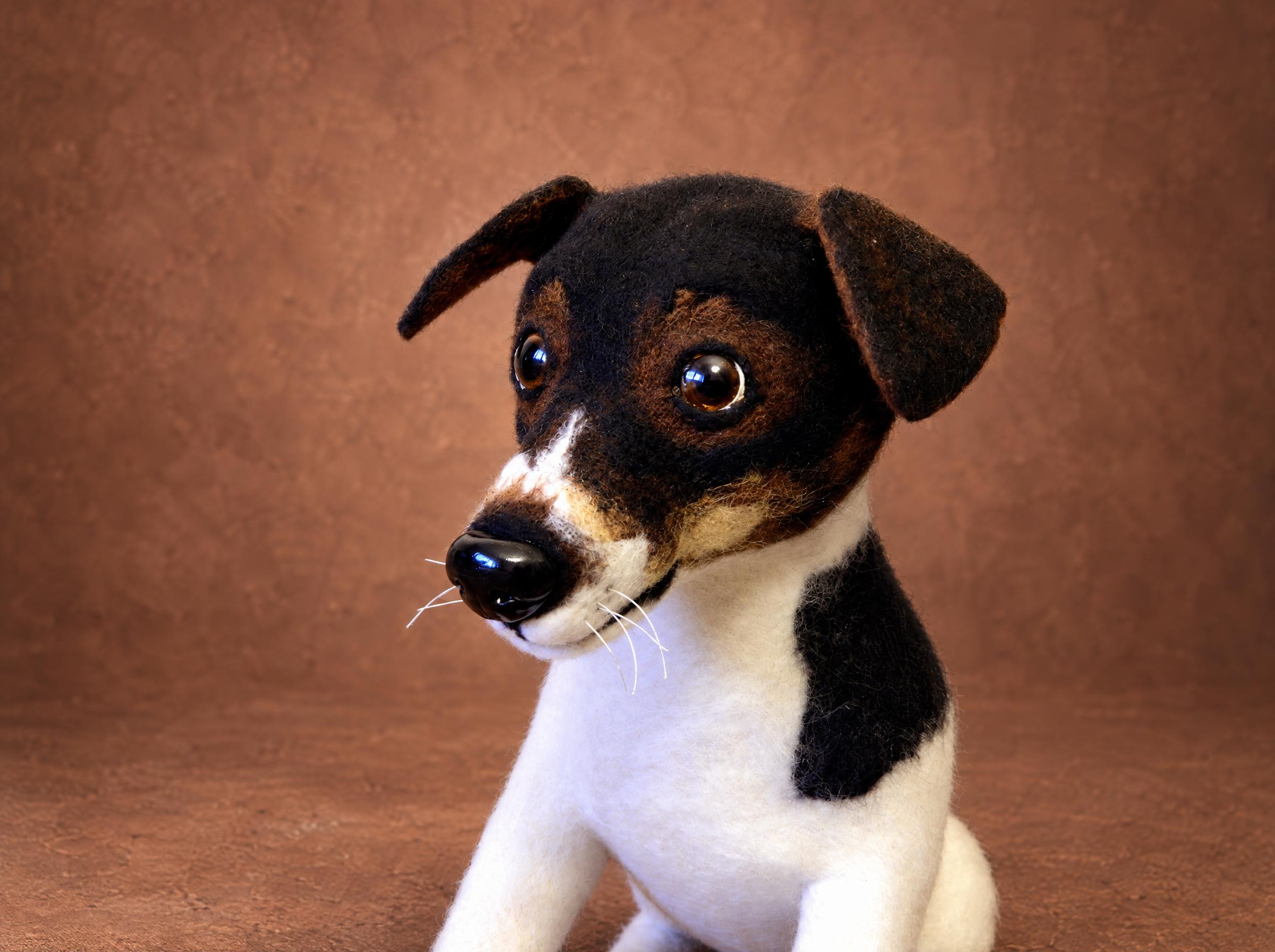 Jack Russell plush head turned Jack Russell plush head turned, black shoulder patch and folded ears, a custom copy of a real dog