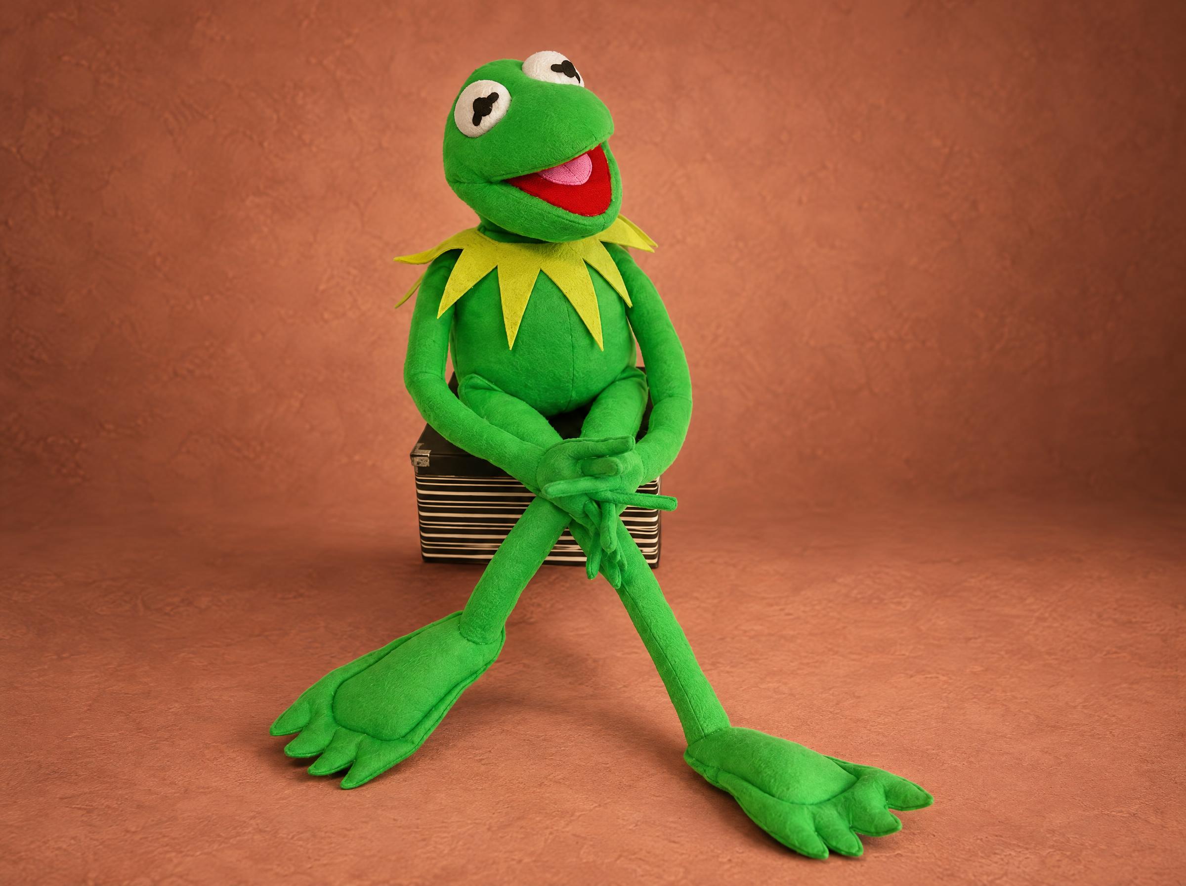Kermit the Frog plush handmade to order, green felt, pointed yellow-green collar, long legs on a striped box