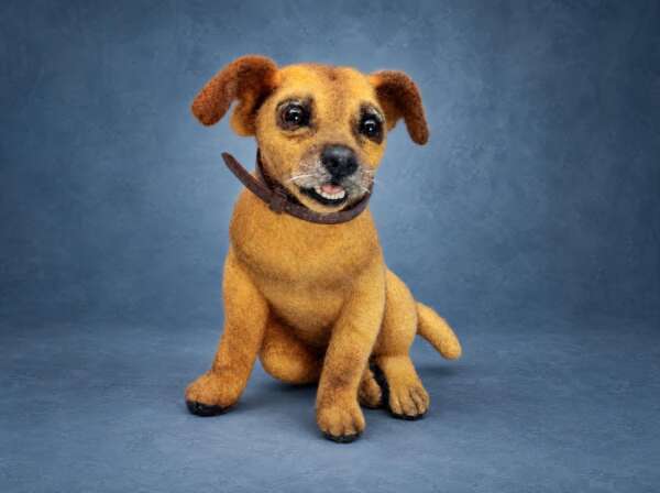 Memorial pet plush made to order from photos: needle-felted golden dog with brown ears and a leather collar