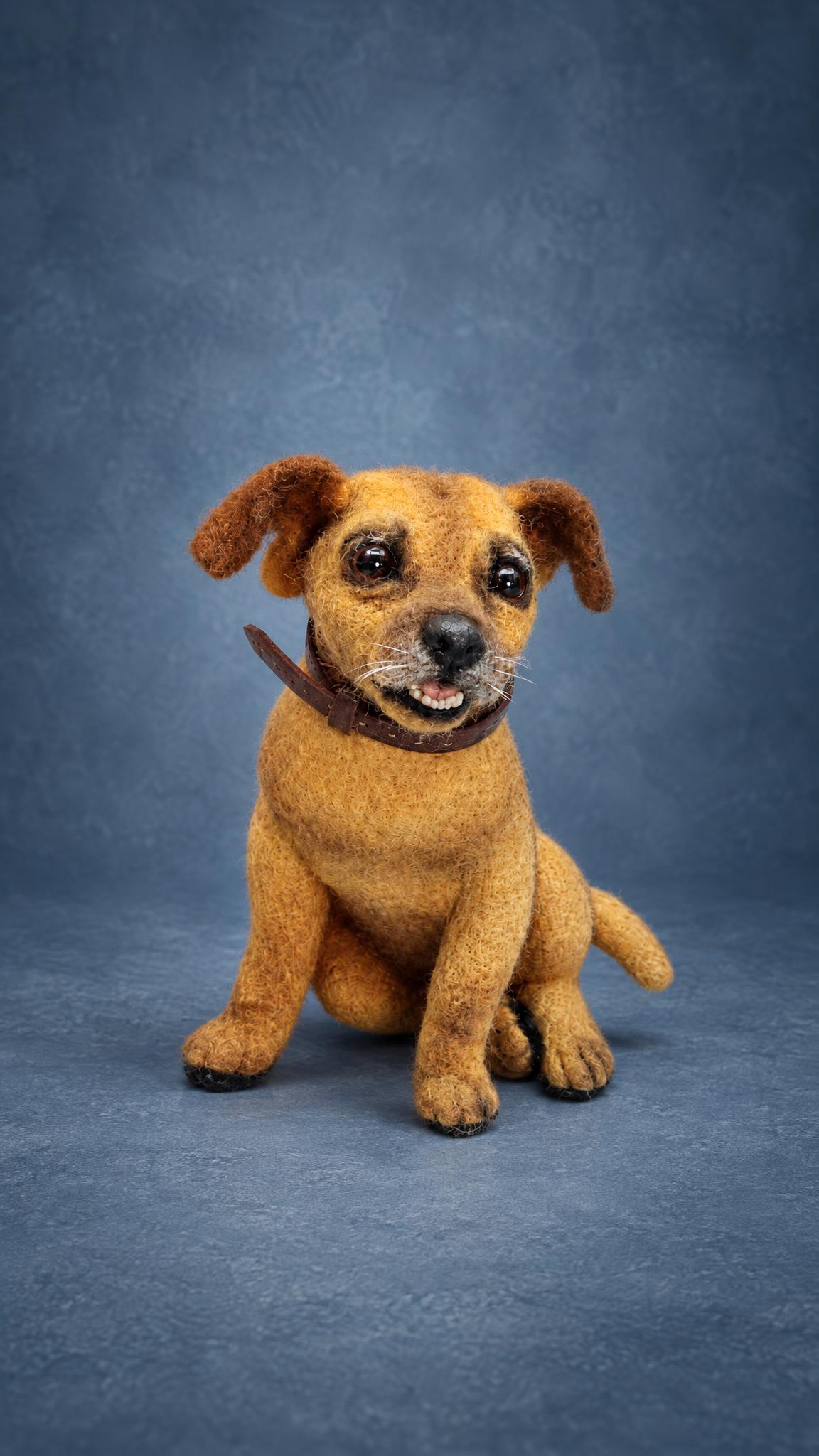Memorial dog plush needle-felted to order from photos, golden coat, brown ears and a worn leather collar