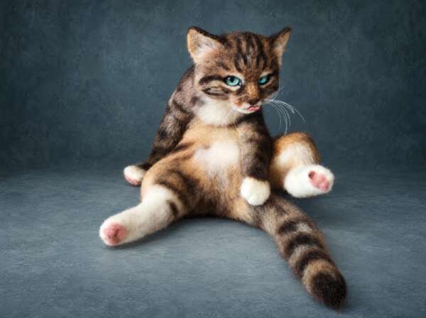 Needle felted tabby cat with its tongue out, legs splayed mid-groom, handmade to order from wool