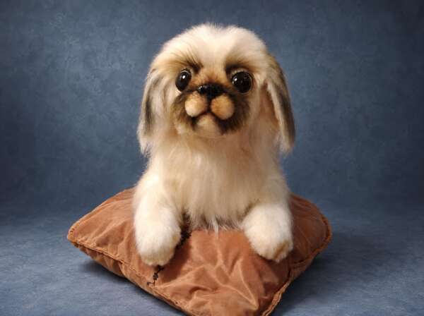 Pekingese plush on a cushion, a memorial replica of a dog who passed away: cream fur and a felted face, handmade