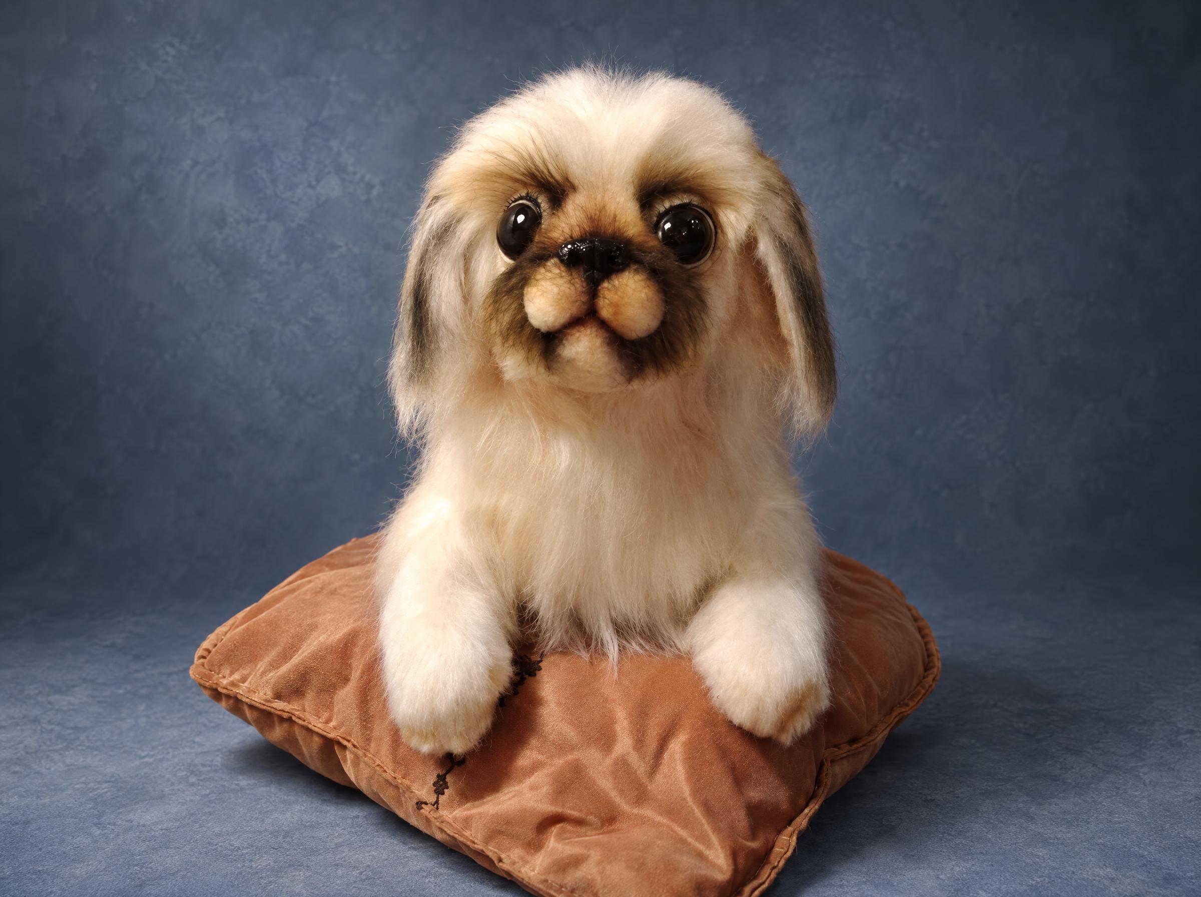 Pekingese plush on a cushion, a memorial replica of a dog who passed away: cream fur and a felted face, handmade
