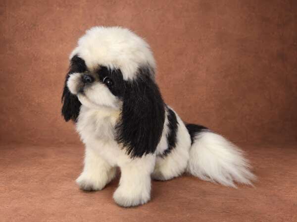 Pekingese stuffed animal sitting sideways, white plumed tail and black back patch, made to order