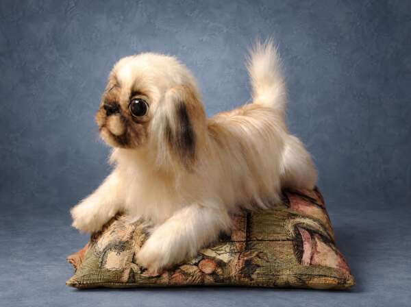 Pekingese soft toy dog lying on a tapestry cushion, long silky fur and a plumed tail, a pet replica made to order