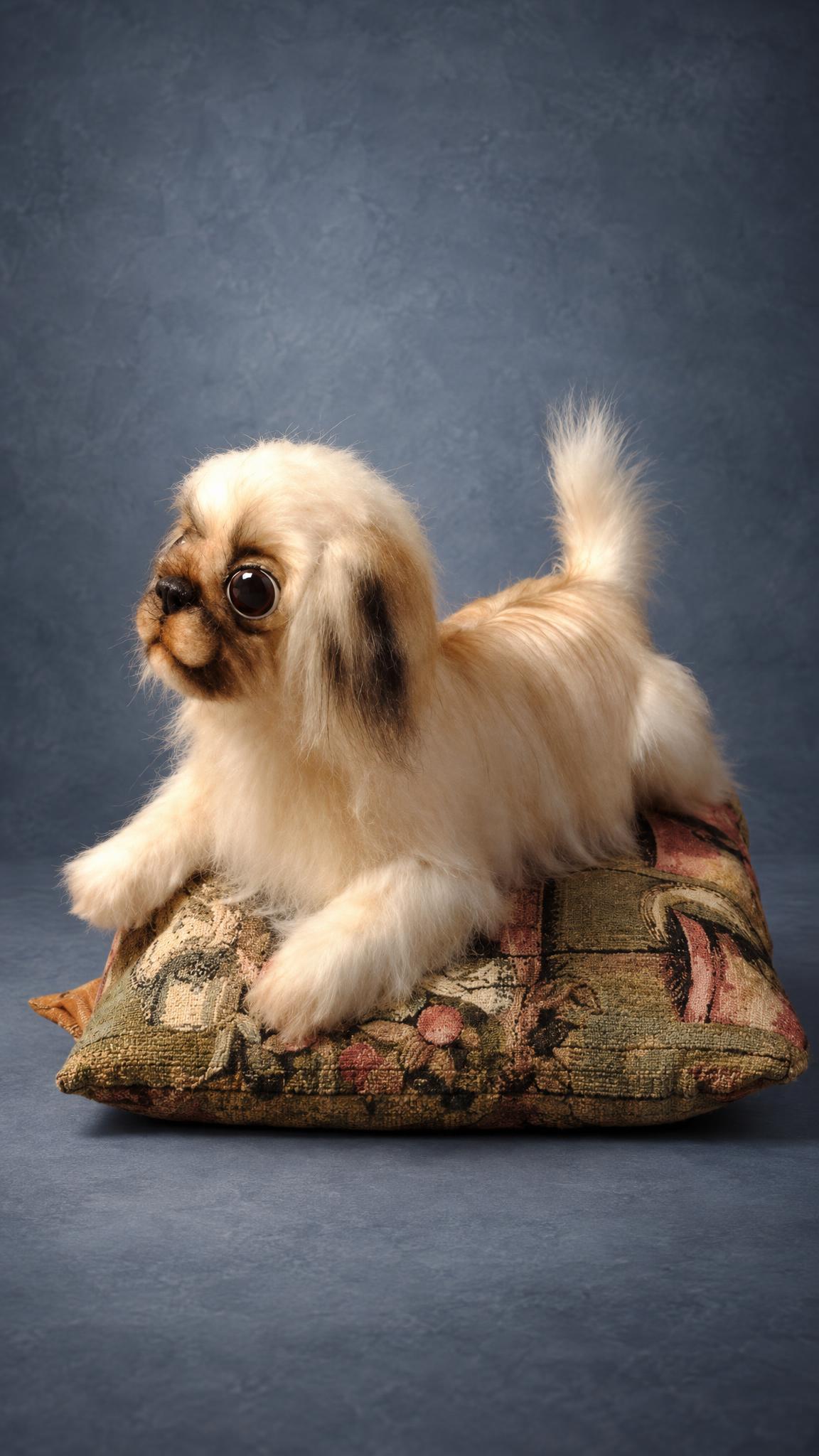 Custom Pekingese plush replica with a plumed tail and dark-tipped ears, sewn by hand to remember a pet
