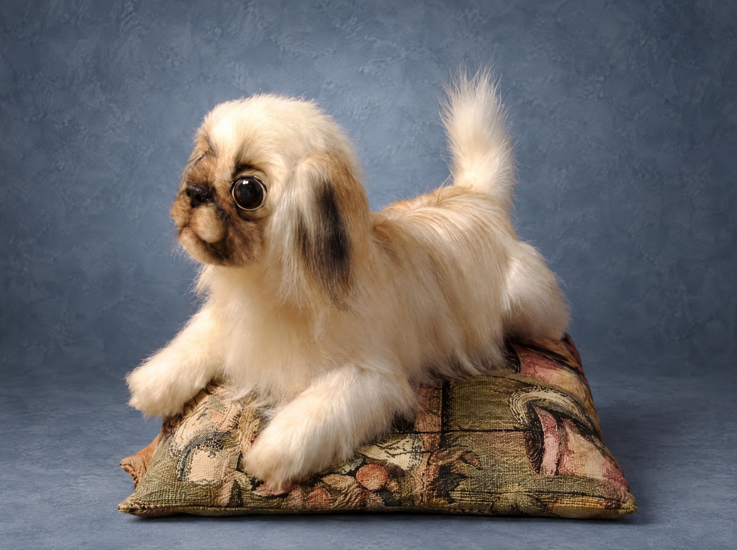 Pekingese soft toy dog lying on a tapestry cushion, long silky fur and a plumed tail, a pet replica made to order
