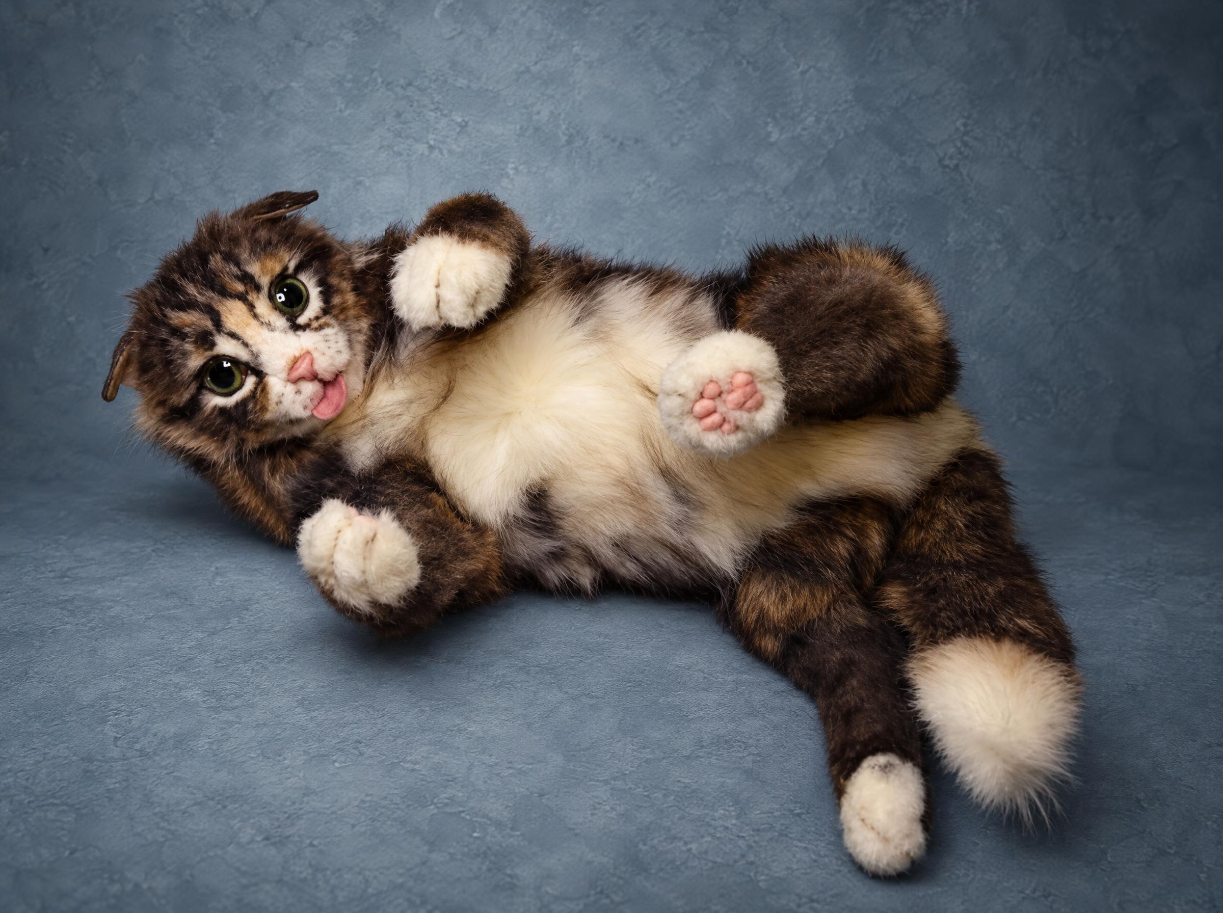 Personalized cat plush lying belly up, pink paw pads, cream tummy and fluffy tabby tail, custom made from photos