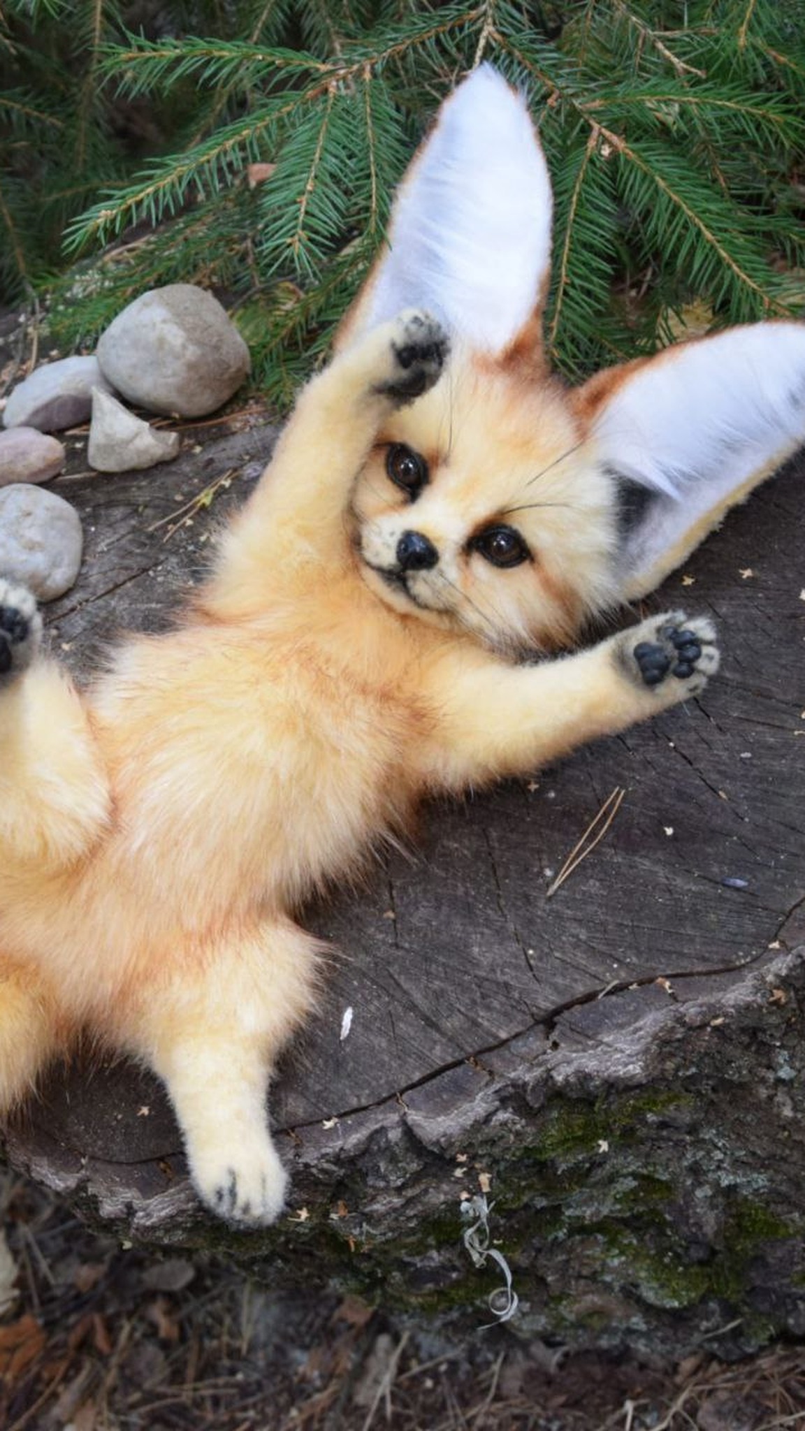 Poseable fennec fox plush rolled on its back with paws up, dark paw pads and huge white ears, custom made