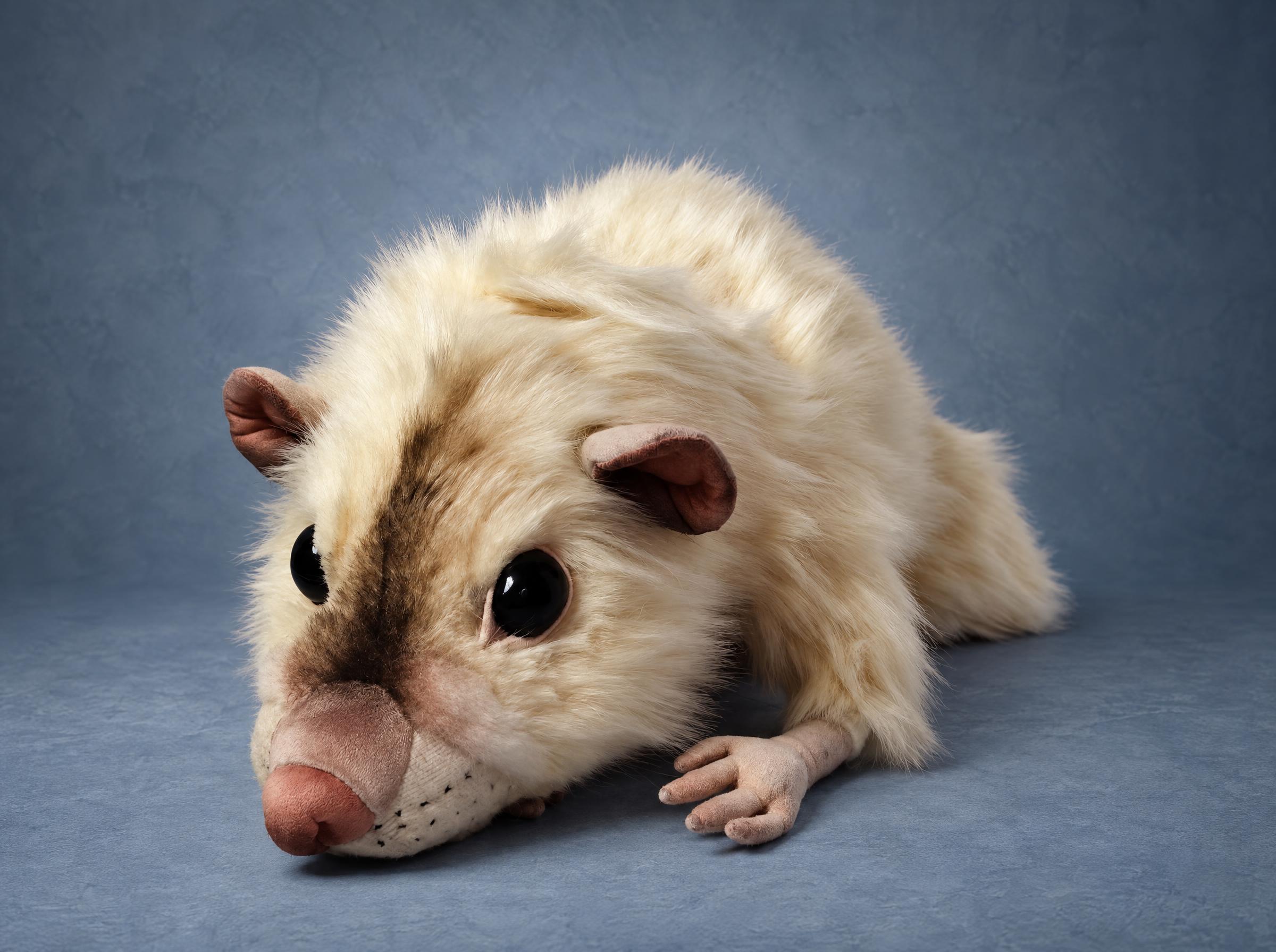 Lifelike rat plush lying down Lifelike rat plush lying flat, cream fur, brown stripe down the nose and tiny sculpted fingers, handmade to order