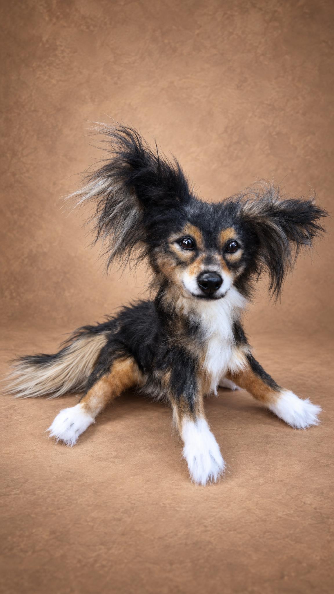 Custom stuffed dog in a relaxed pose, tricolor faux fur and feathered tail, sewn to order