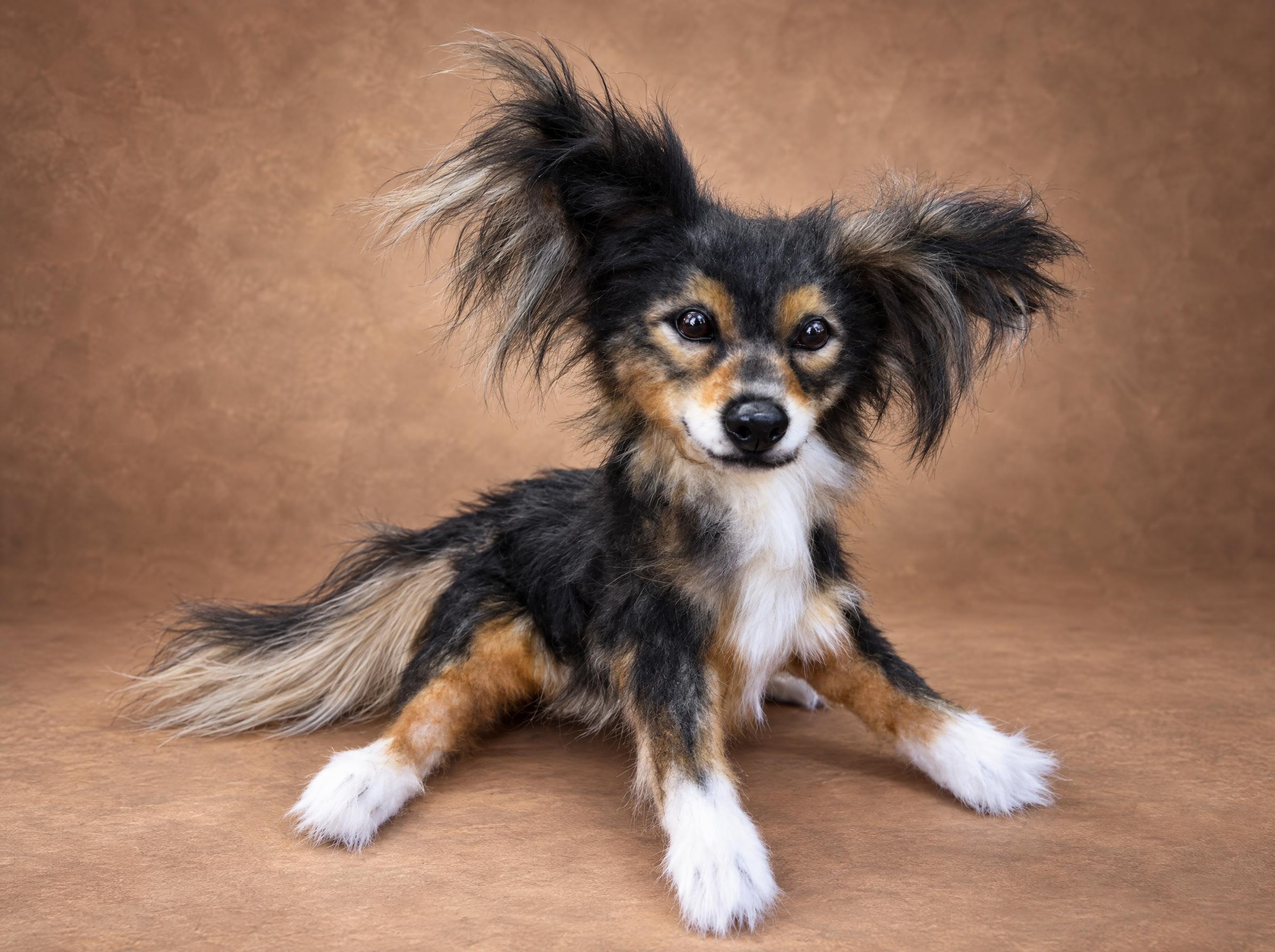 Realistic dog plush, tricolor coat Realistic dog plush in a relaxed pose, tricolor black, tan and white coat copied from the owner's photo