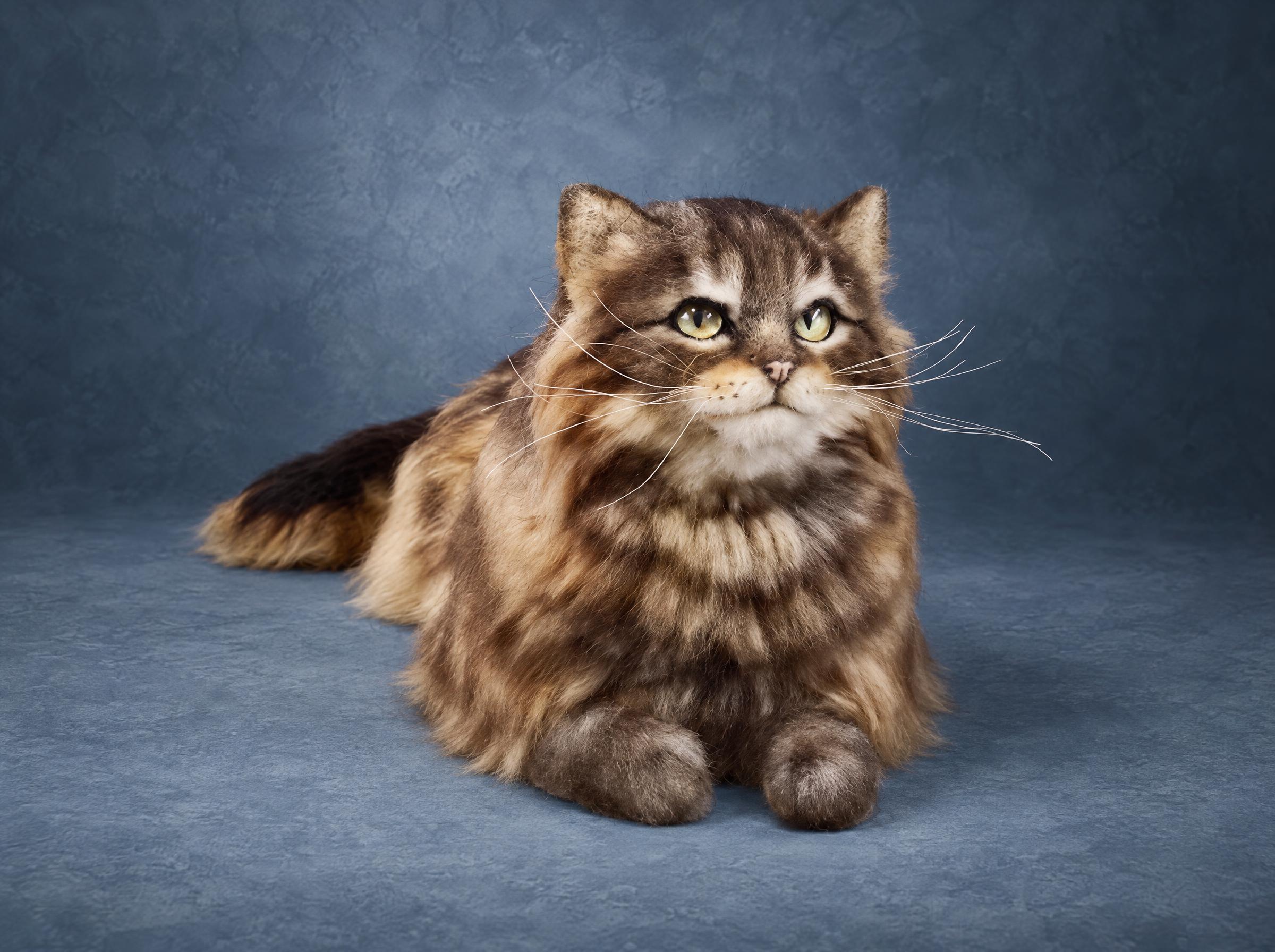 Realistic long-haired tabby cat plush lying down, brown and cream fur with dark stripes and long white whiskers, made to order