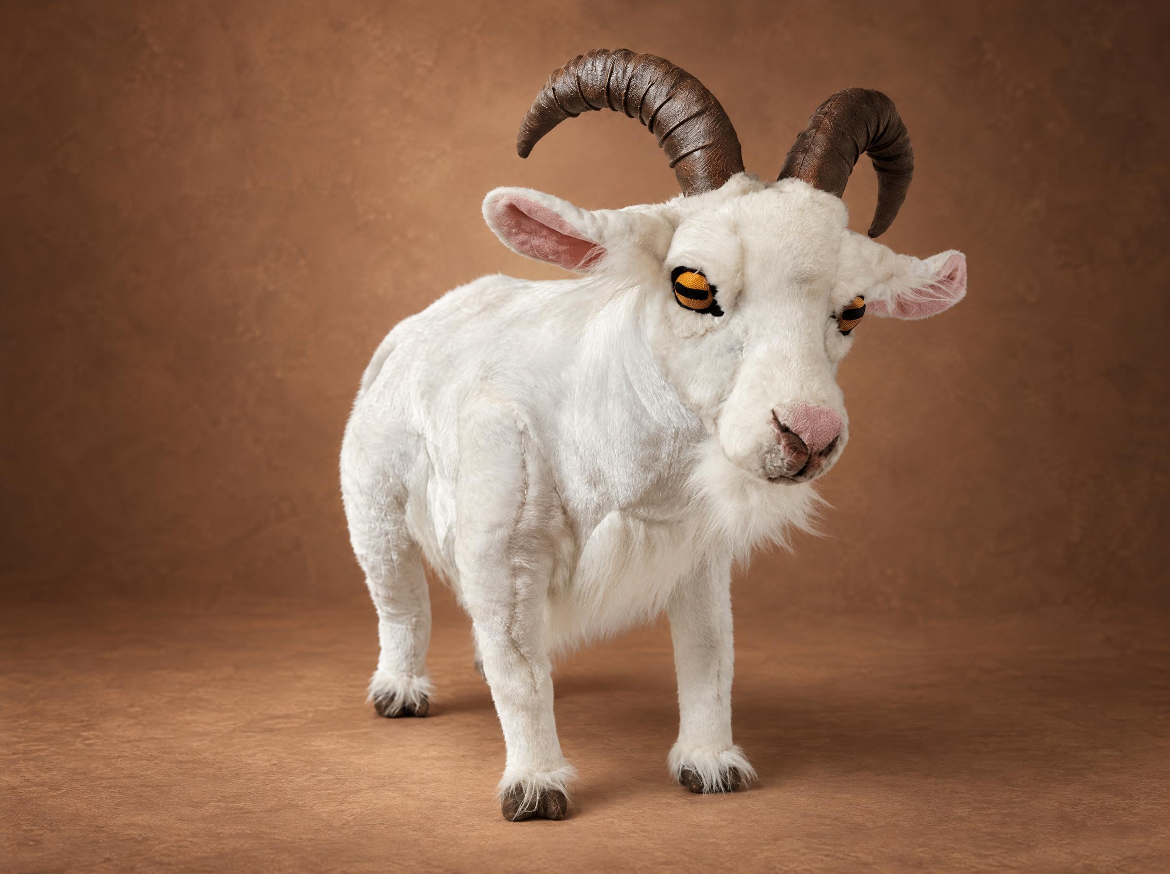 Realistic mountain goat plush, handmade to order: white faux fur, curved brown horns, amber eyes, pink nose
