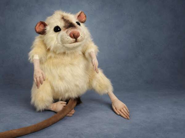 Realistic mouse plush, handmade to order: shaggy cream faux fur, brown eye patch, sculpted pink hands and a long tail