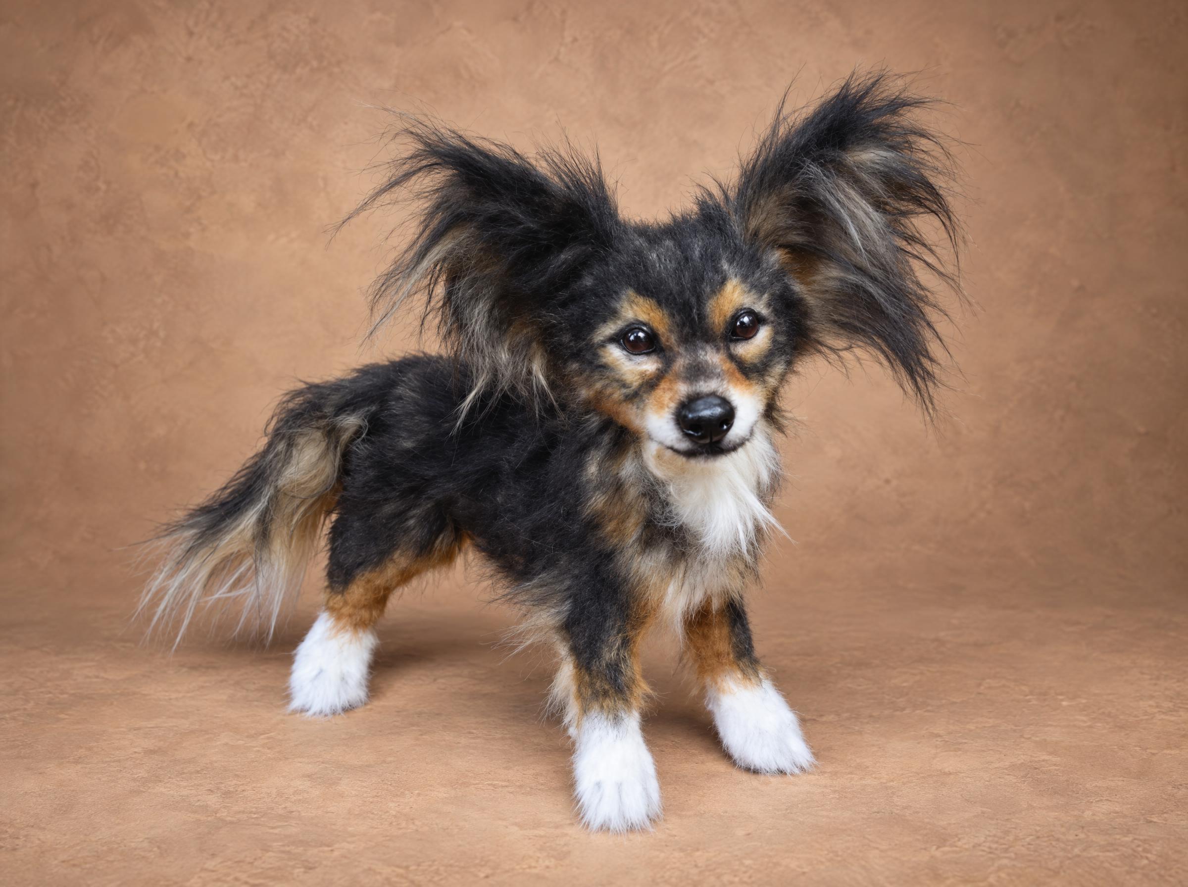 Realistic stuffed dog with black and tan faux fur and feathered ears, sewn to order from a pet photo