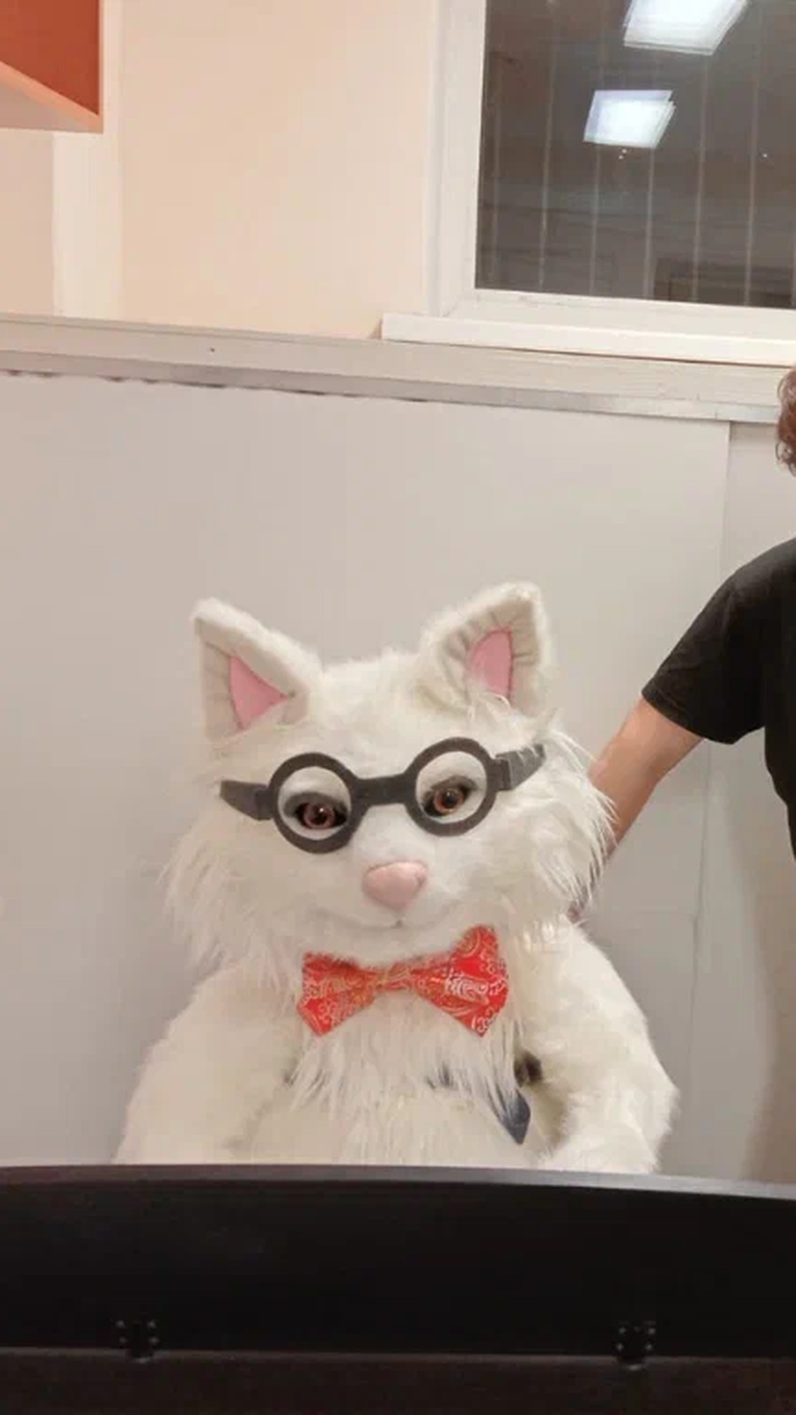 Ronald the giant cat plush at a piano next to a smiling man, showing how big this custom gift plush is