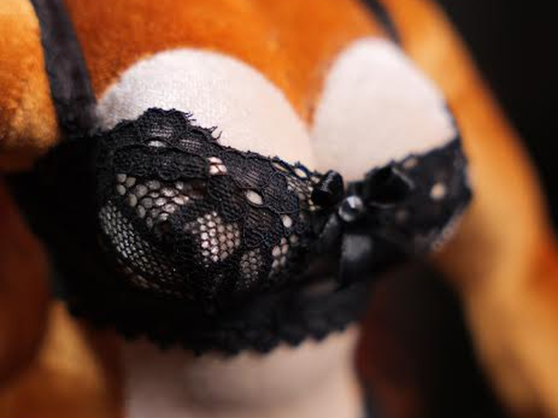 Sally Acorn Doll, Black Lace Outfit Custom Sally Acorn doll in a black lace bra, orange velvet fur and a cream chest, a handmade Sonic doll