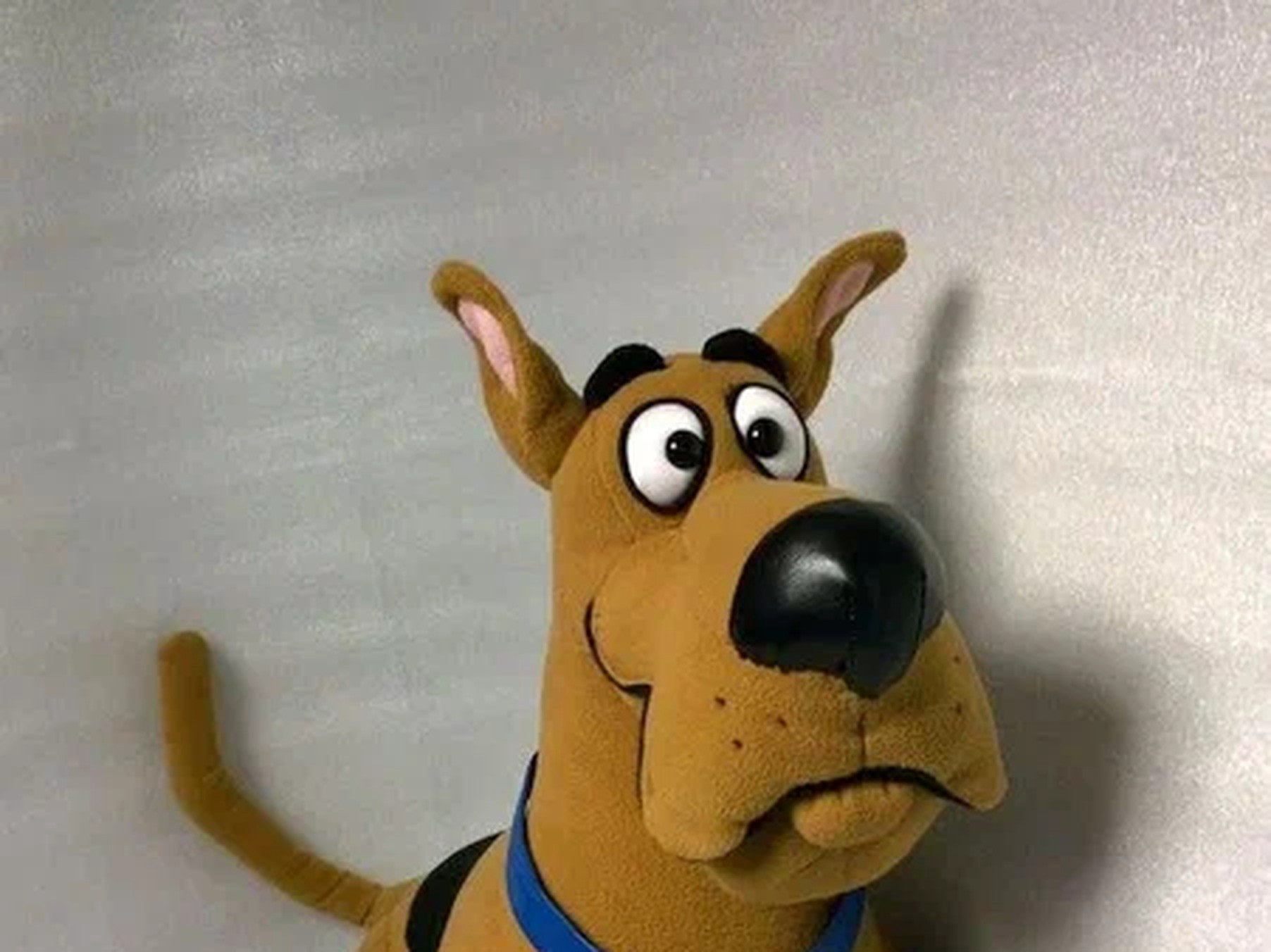 Custom Scooby-Doo plush, sewn by hand Custom Scooby-Doo plush with a worried grin, glossy black nose and blue collar, sewn by hand to order