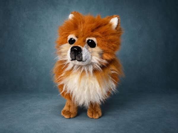 Pomeranian Spitz plush, handmade to order: fluffy ginger faux fur, a white chest ruff and a felted grey muzzle
