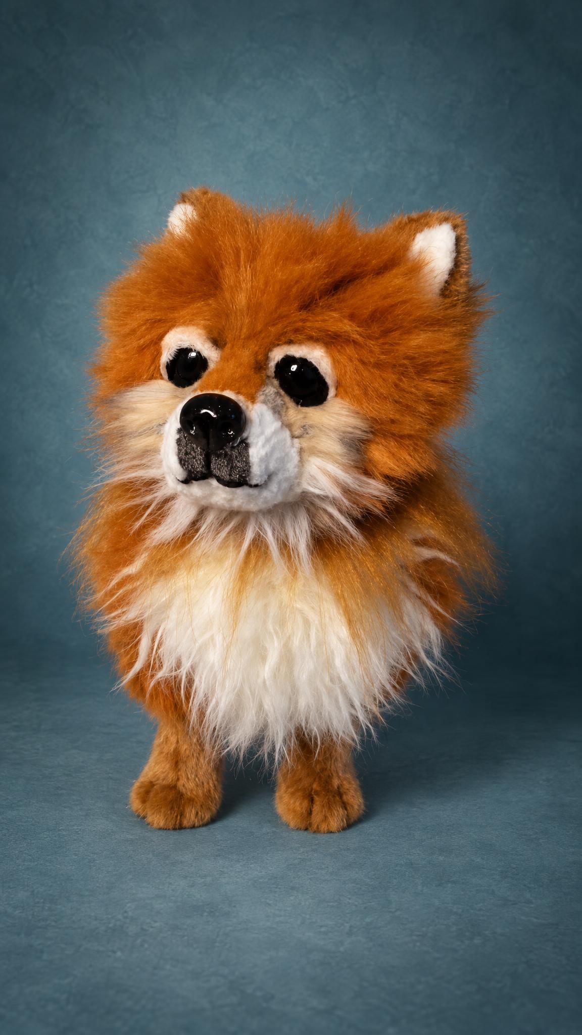 Custom Spitz dog plush from photos: ginger fur, glossy black eyes and a fluffy white chest, sewn by hand