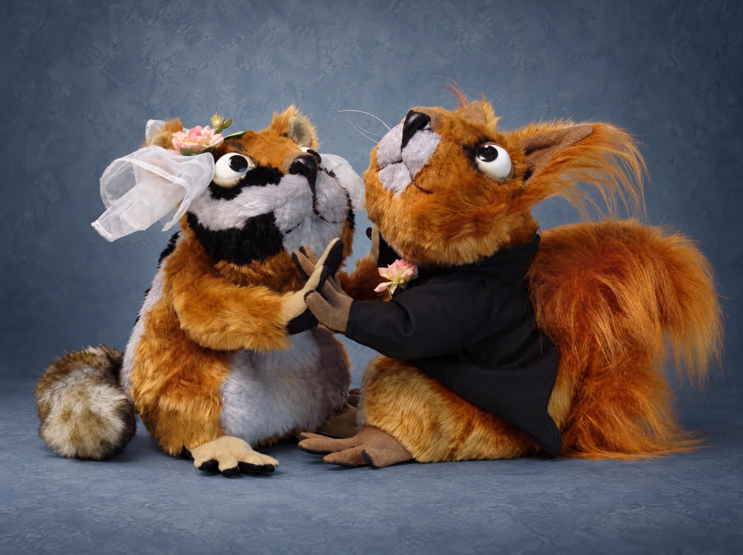 Squirrel Groom and Badger Bride Holding Paws, Wedding Plush Squirrel groom plush in a tuxedo holding paws with his badger bride, custom wedding stuffed animals made to order