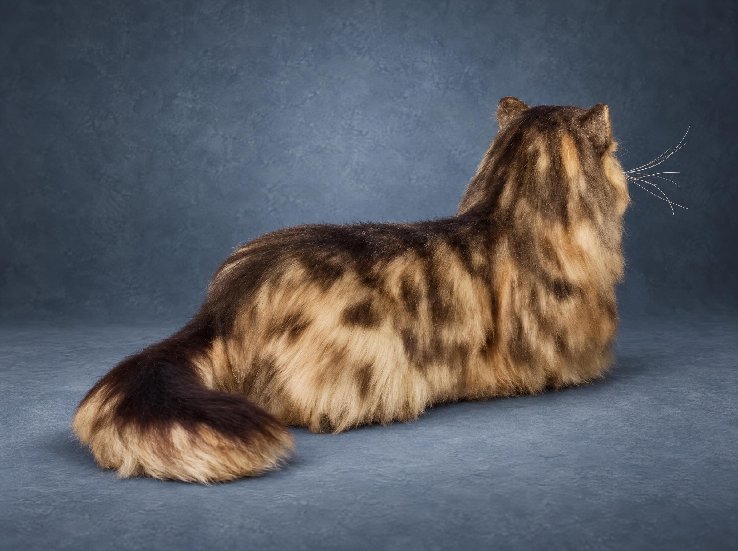 Tabby cat plush, striped tail stretched out Fluffy tabby cat plush with its long striped tail stretched out, brown and cream fur, handmade to order