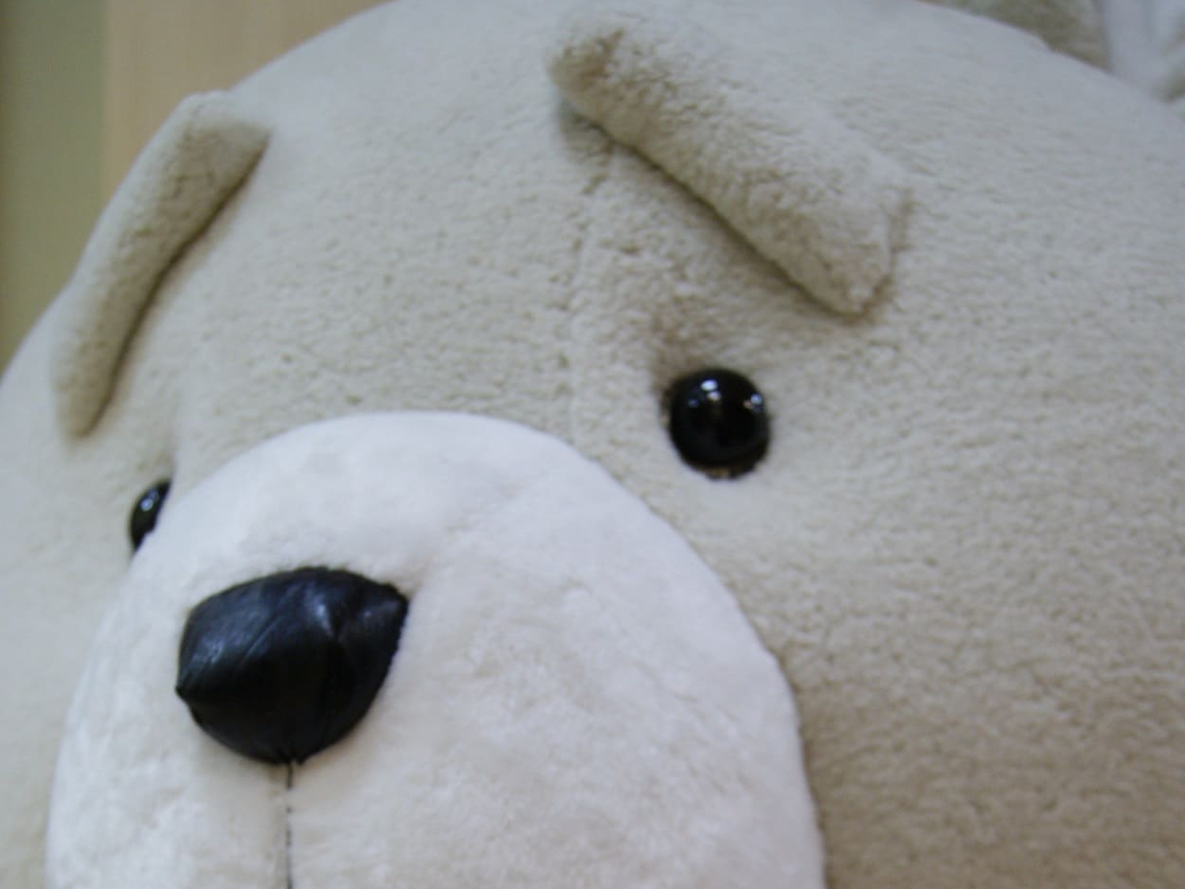 Ted bear plush face, black nose and fleece brows Ted bear plush face: black nose, bead eyes and fleece eyebrows, a giant custom teddy made to order