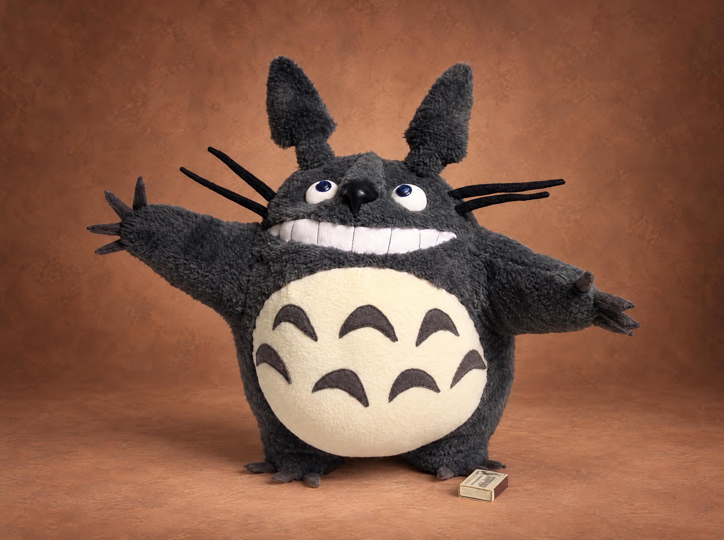 Earlier Totoro Plush We Made in 2010, Arms Wide Another custom Totoro plush we made in 2010: grey fur, arms wide open, blue eyes looking up, a cream belly