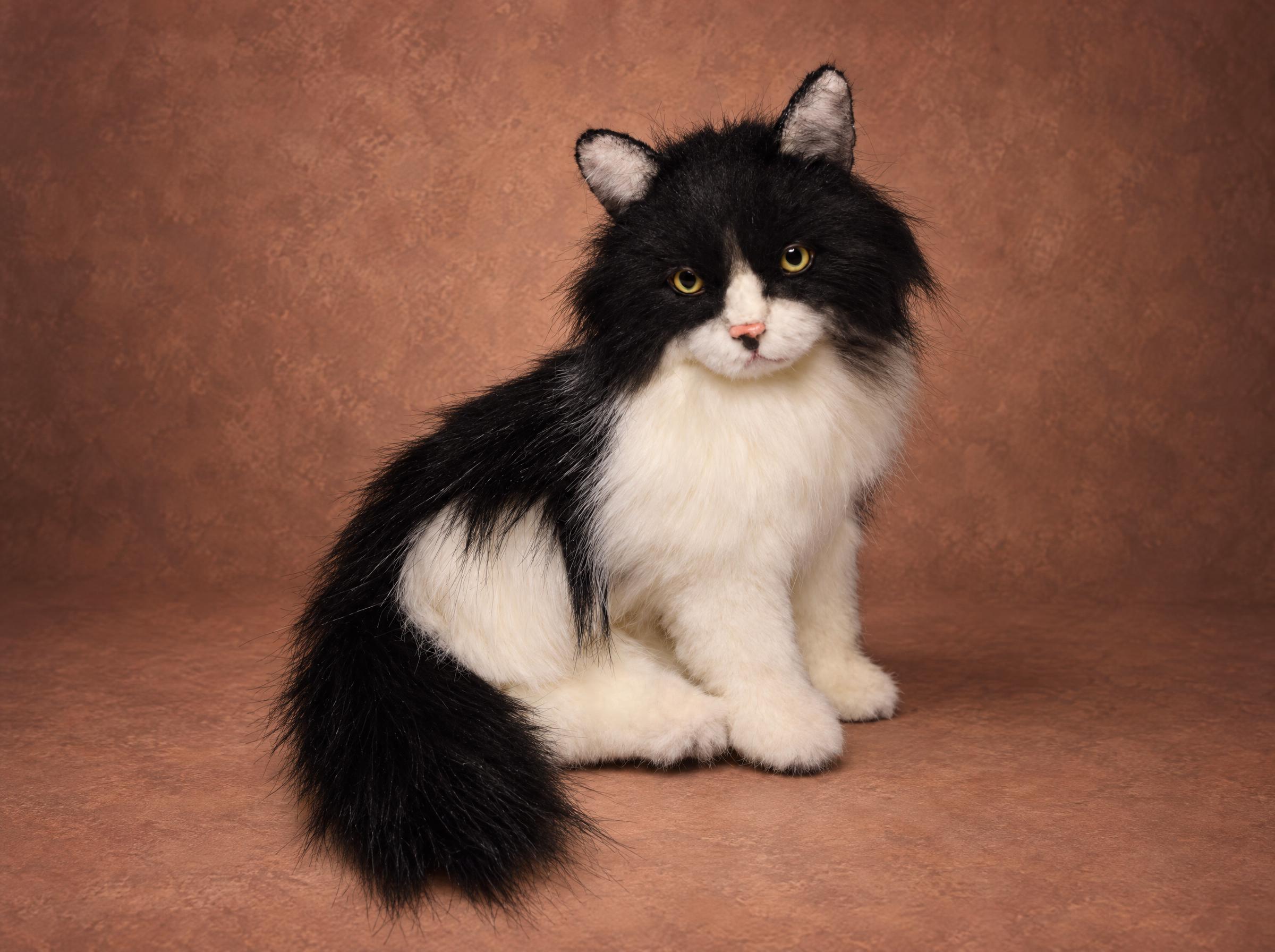 Tuxedo cat plush with a bushy black tail and white chest, sewn by hand to order from photos of a real cat